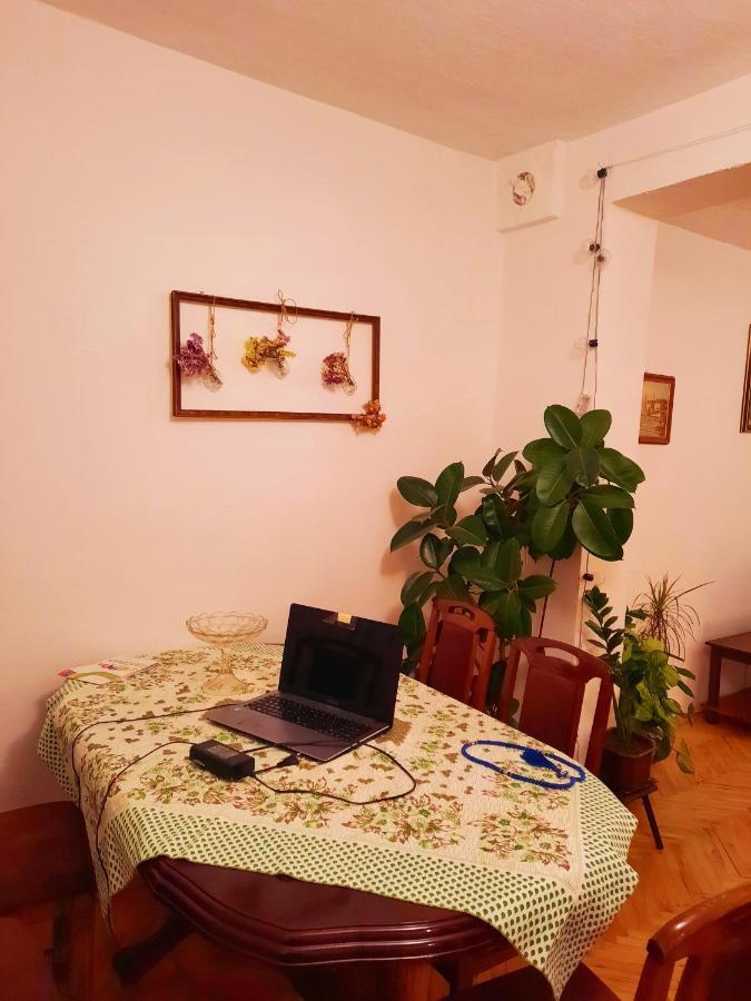 Sunshine House Villa Pancevo Exterior photo